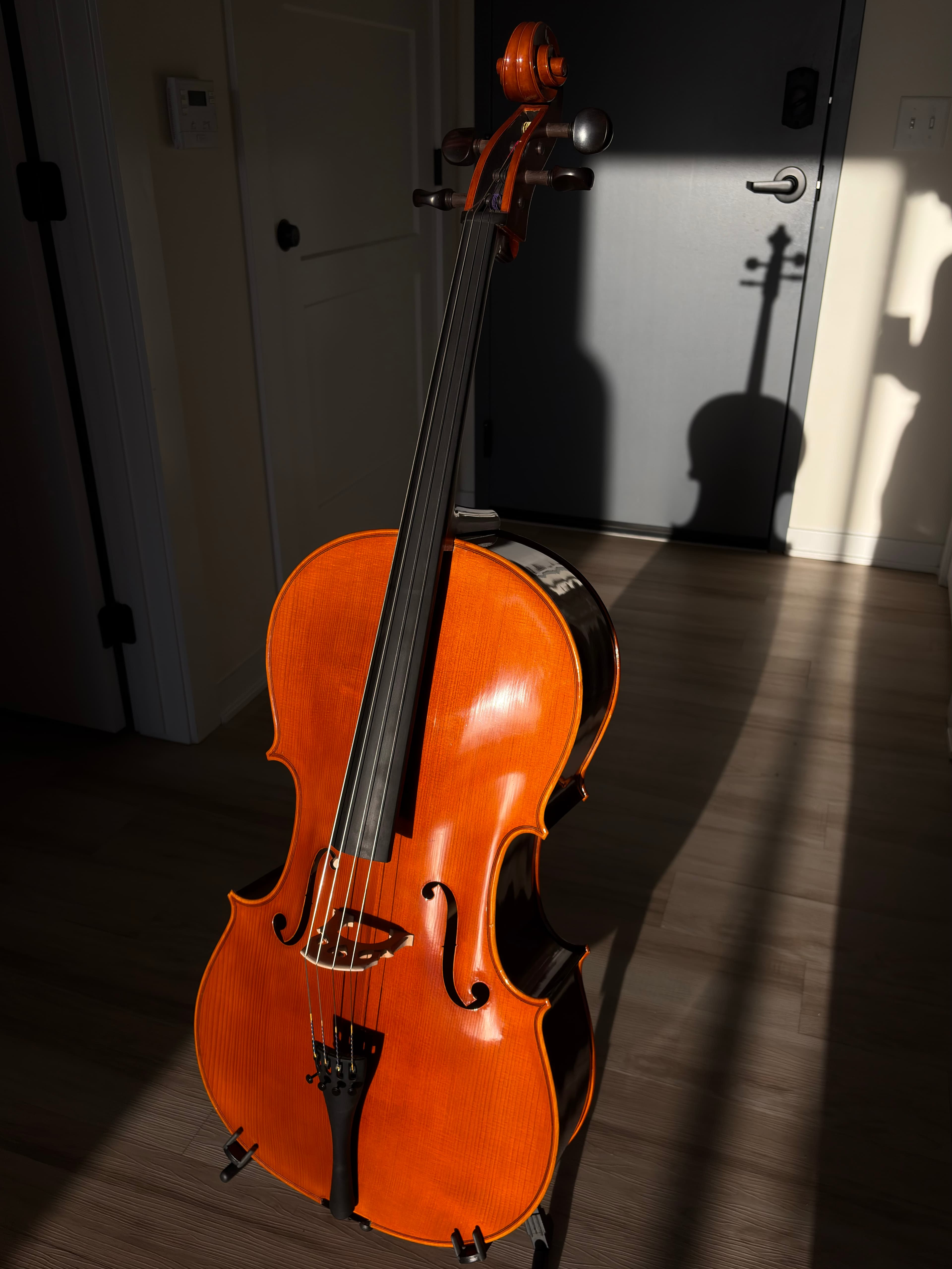 Primary photo of cello